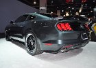 SEMA2014 (1123)
